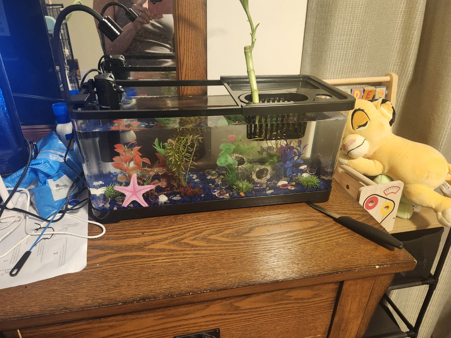 fish tank comes with everything