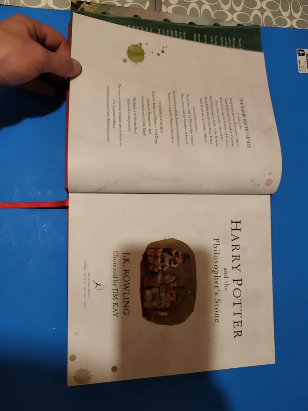 Harry Potter and the Philosopher's Stone (Illustrated Edition) - photo 2