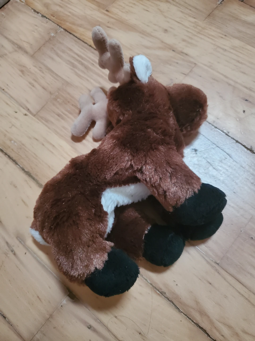 Webkinz Stuffy Lot - photo 3
