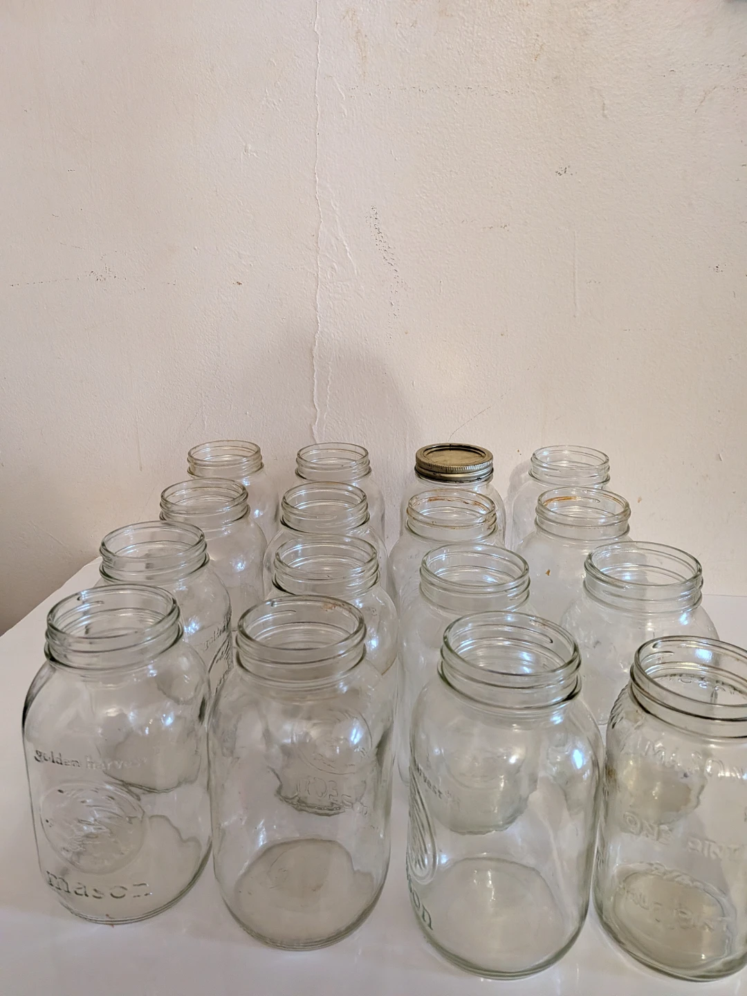 14 Golden Harvest Mason Jars