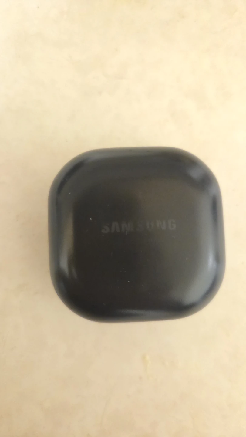 Samsung Galaxy Buds Pro Charging Case