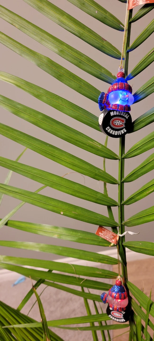 Montreal Canadiens Light-Up Hockey Puck Ornament - photo 4