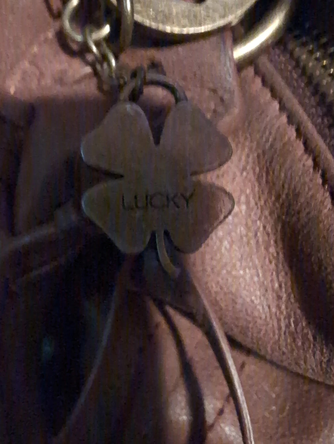 Lucky Brand Brown Leather Shoulder Bag - photo 4
