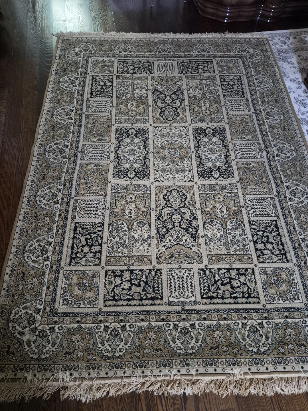 Traditional patterned area rug