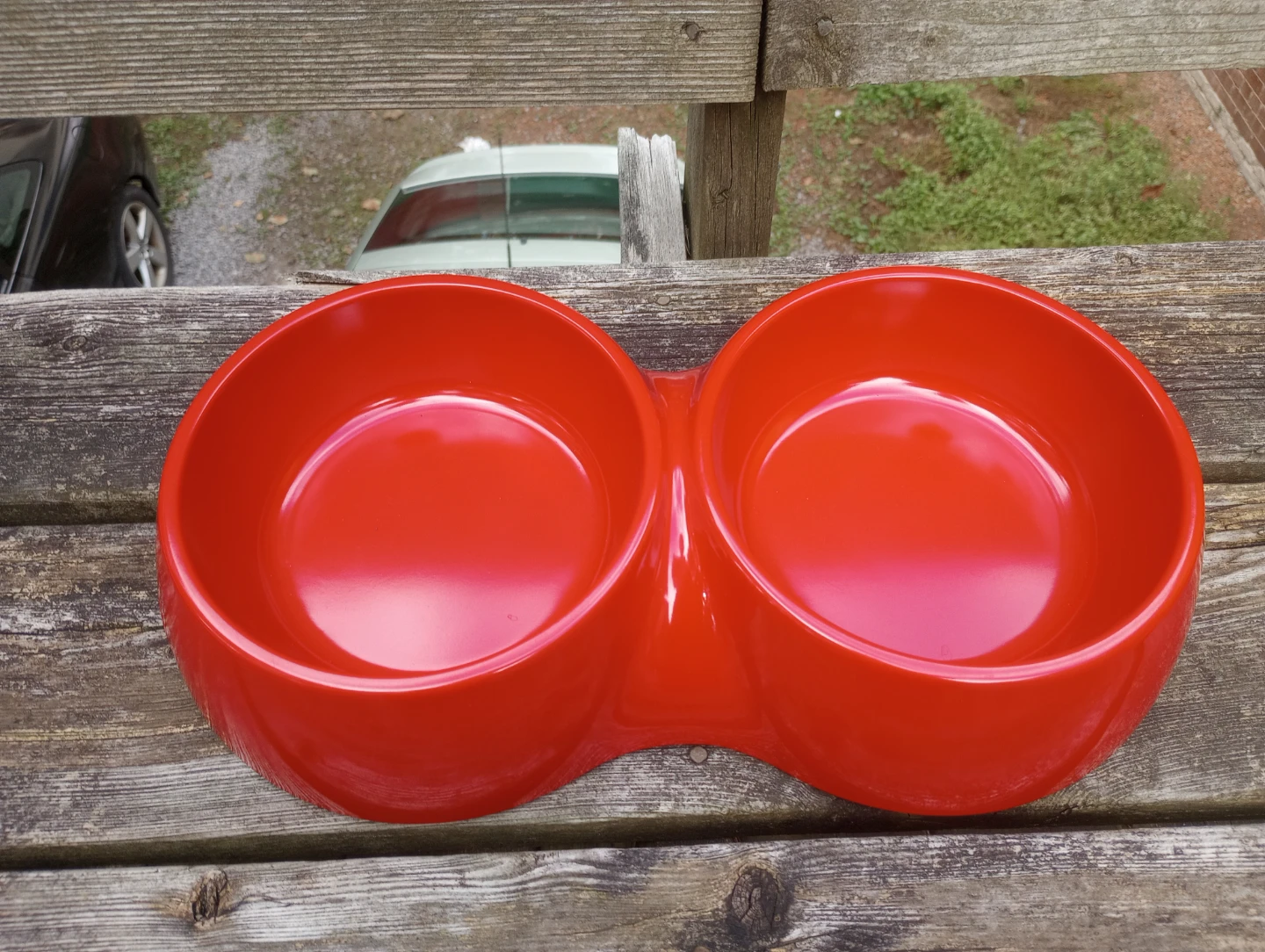 NEW Double Dog Bowl