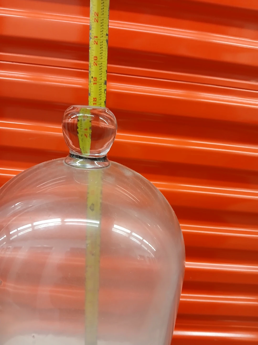 18"×10" Clear Glass Cloche Display Dome - photo 4