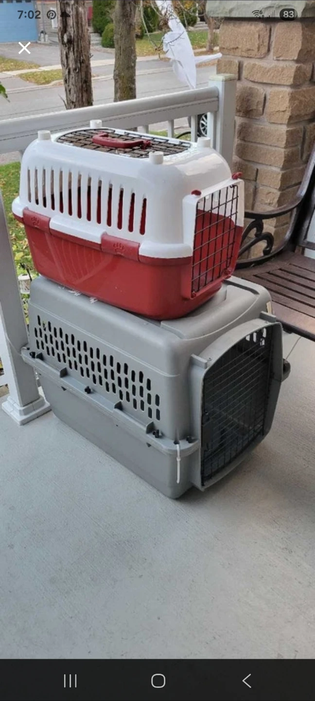 Pet Travel Carriers-$20 each