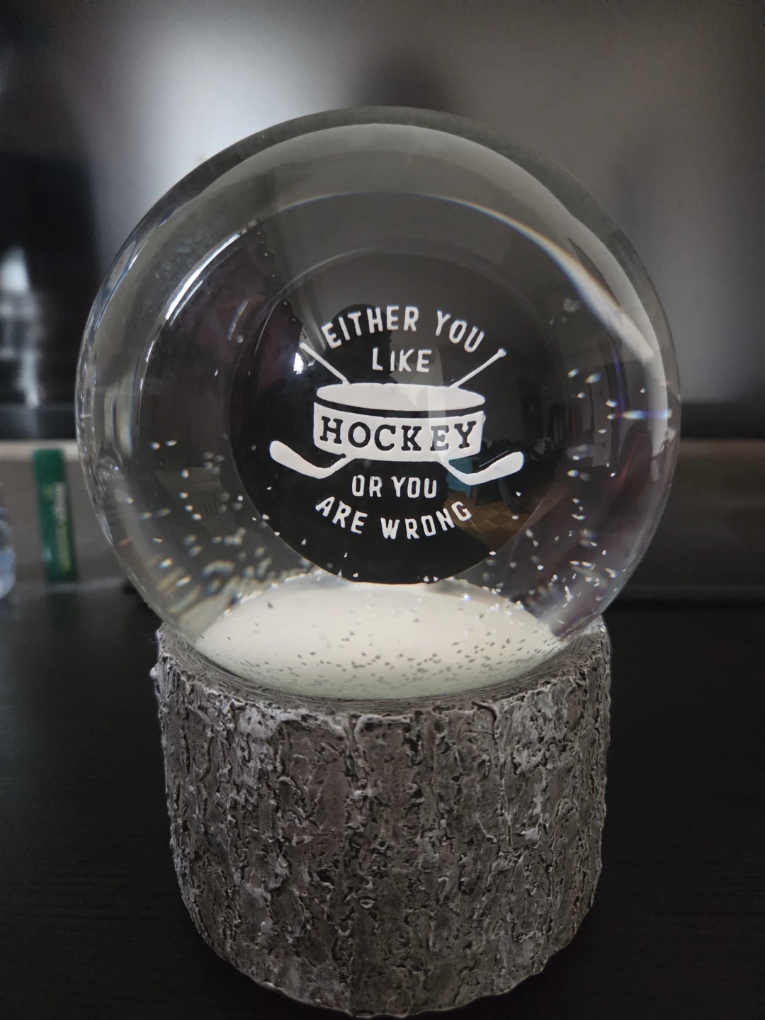 Hockey Puck Snowglobe