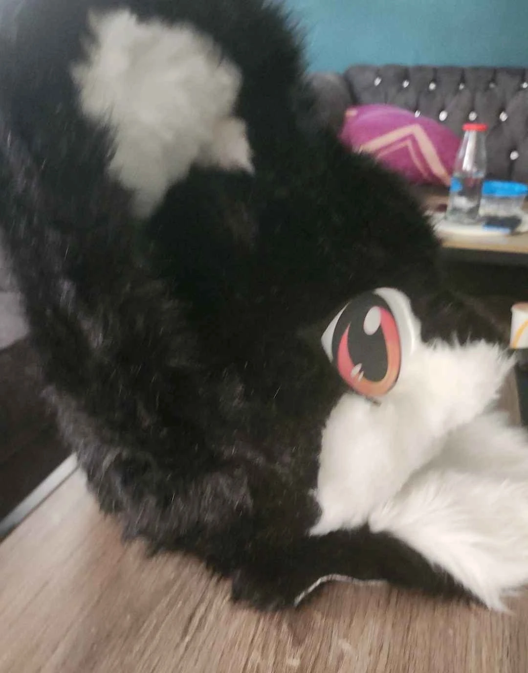 Fursuit Head - Black and White Cat - photo 2
