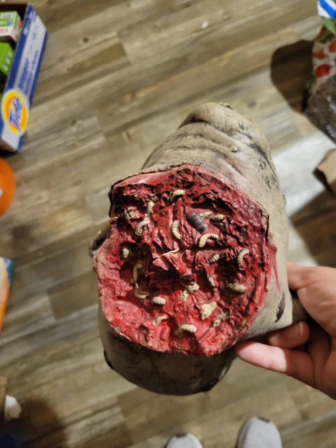 Halloween prop - photo 2