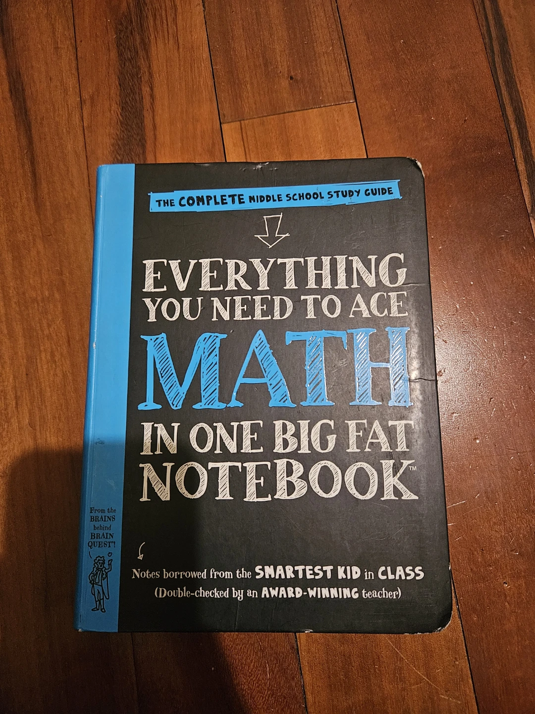 Everything You Need to Ace Math Big Fat Notebook