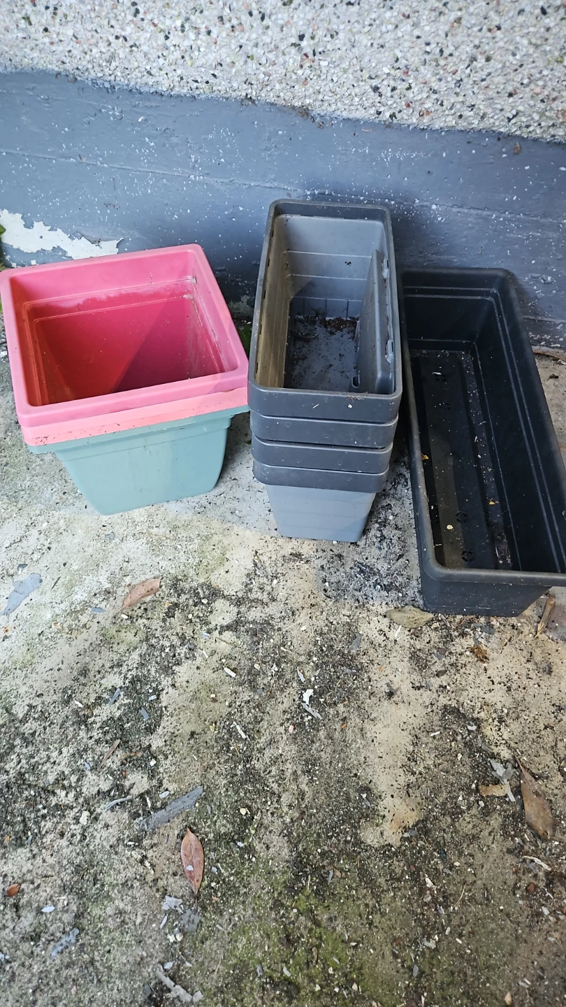 Assorted Plastic Plant Pots and Planters