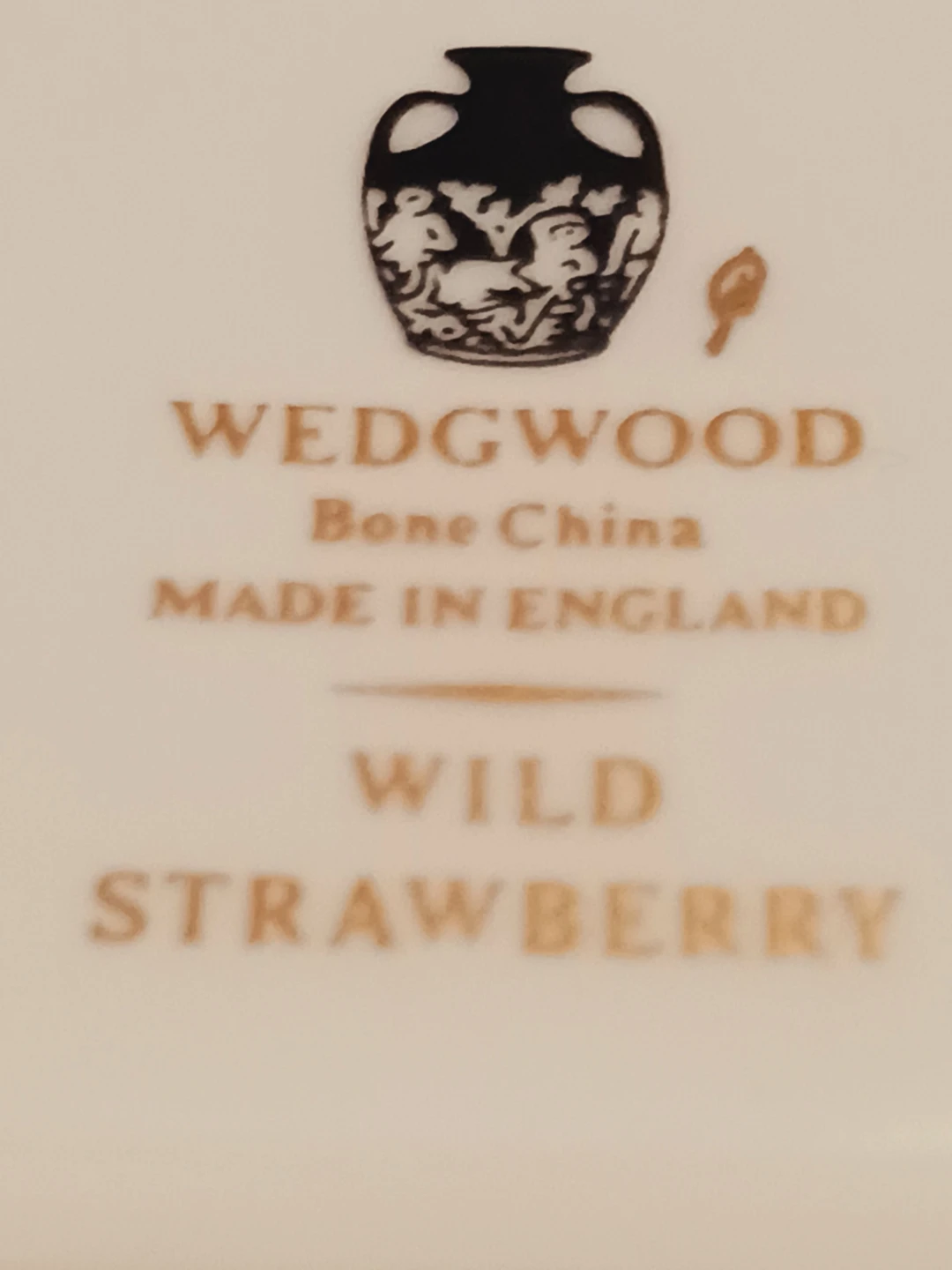 Wedgwood Wild Strawberry  Fine English Porcelain MiniTray - photo 4