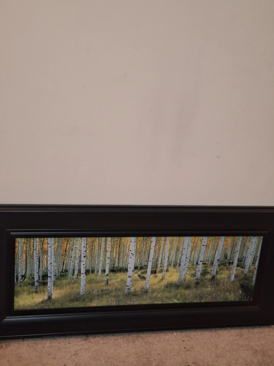 Framed Aspen Forest Wall Art - photo 3