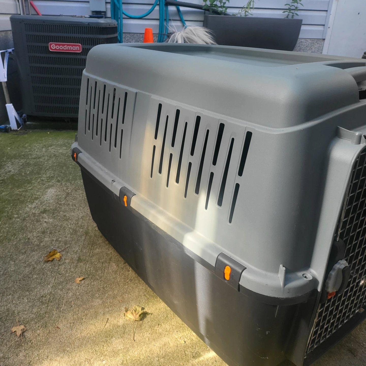 Large Pet Travel Carrier - photo 4
