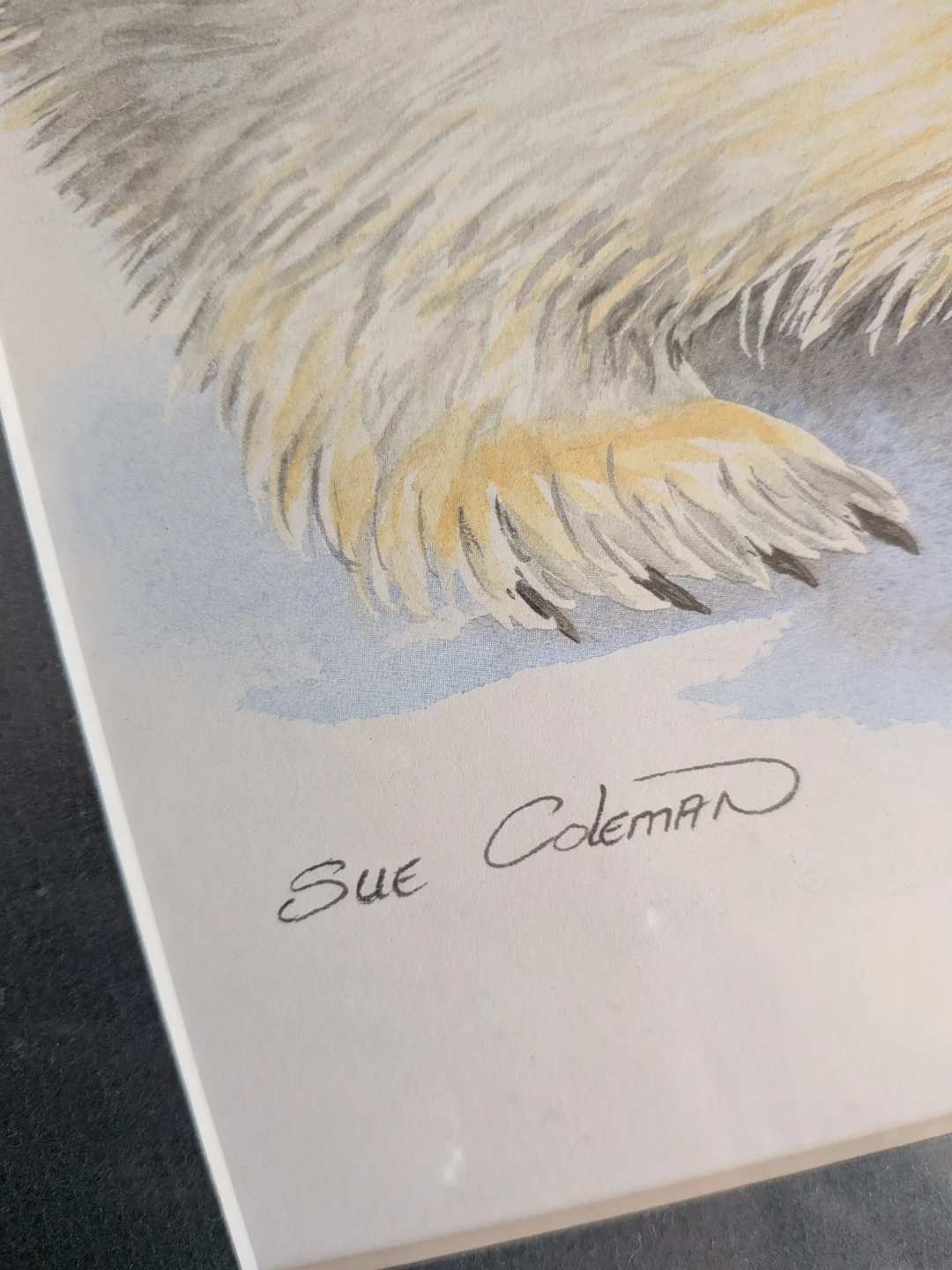 Sue Coleman Harp Seal Print - photo 2