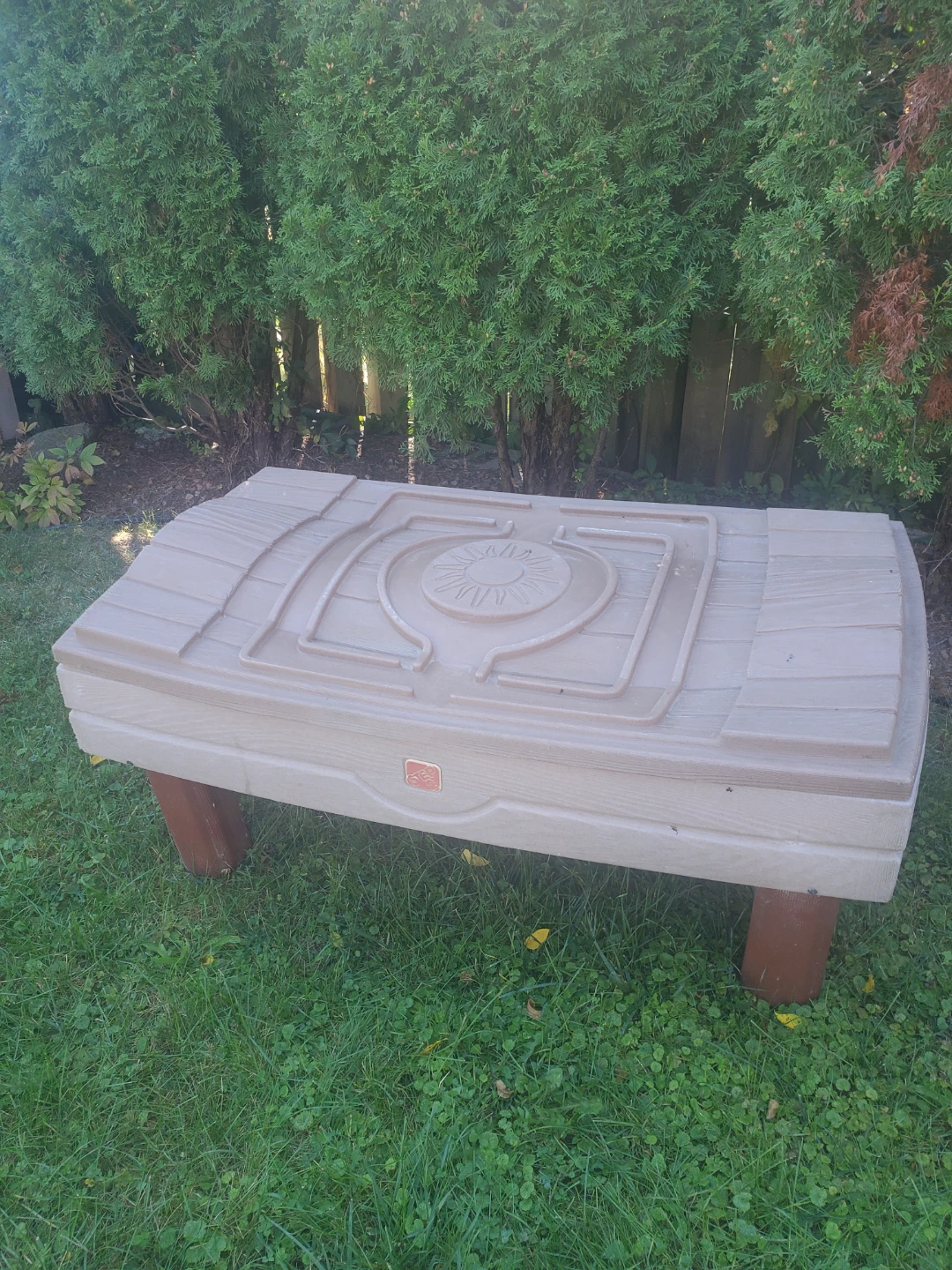 Step2 Sand and Water Table