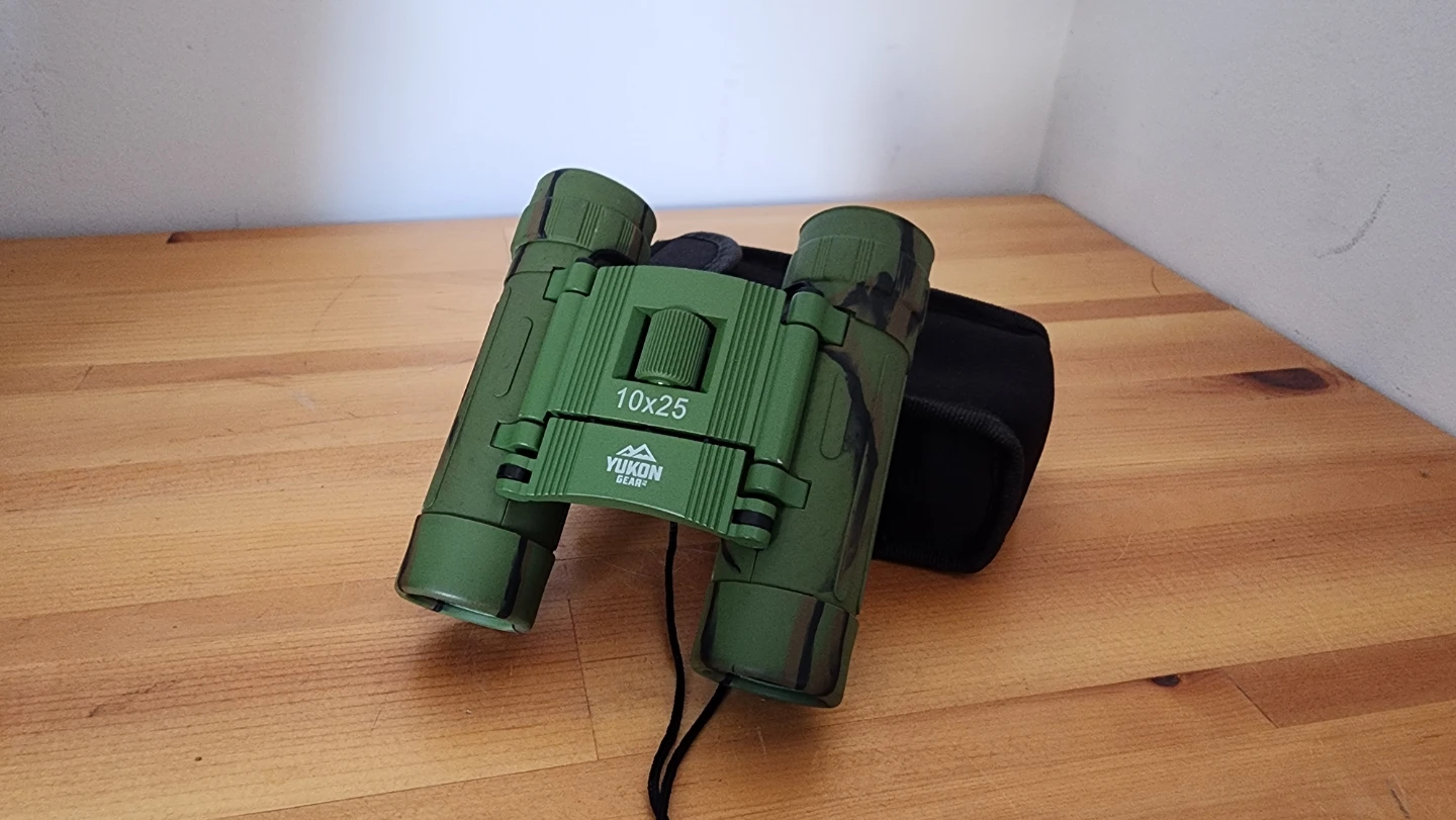Compact 10x25 Binoculars with case