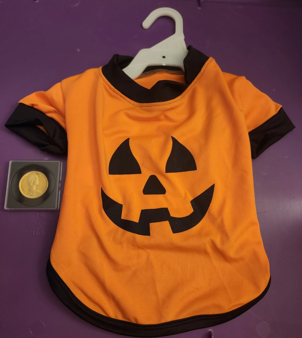 HALLOWEEN - Pumpkin Costume for your Fur Baby