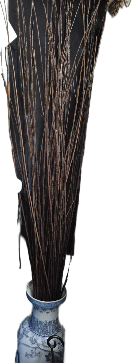 Decorative Dried Willow Branches