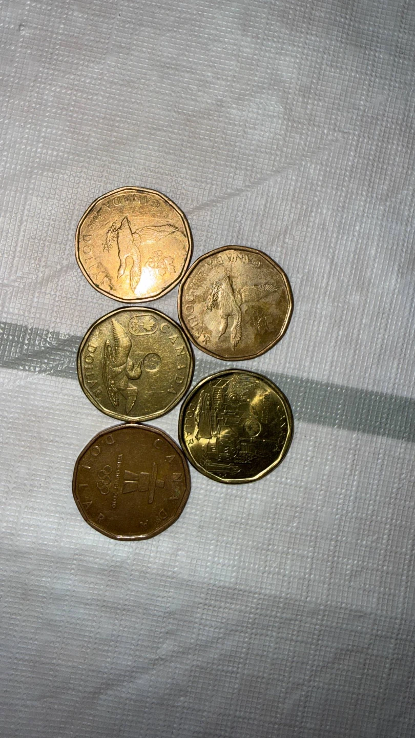 For sale or trade for coins - photo 2
