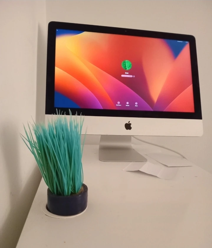 Imac Intel i5 21.5"