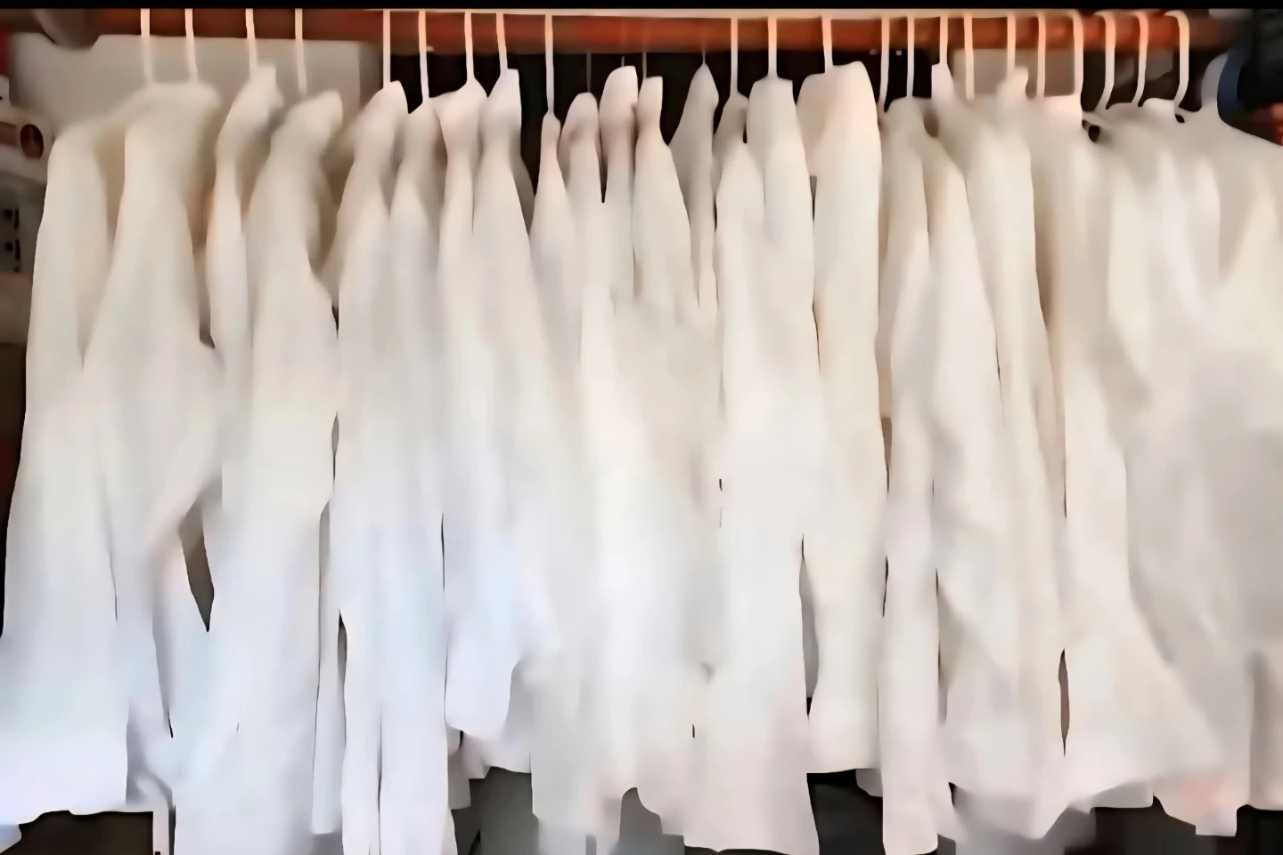 Shirts for woman