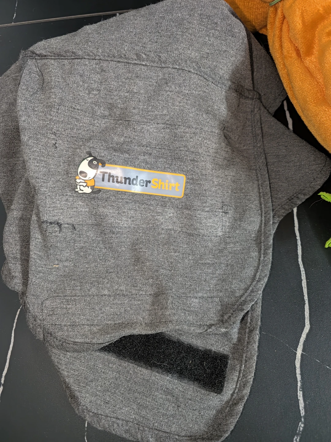 Dog Clothing Bundle: ThunderShirt, Life Vest, and Costume - photo 4