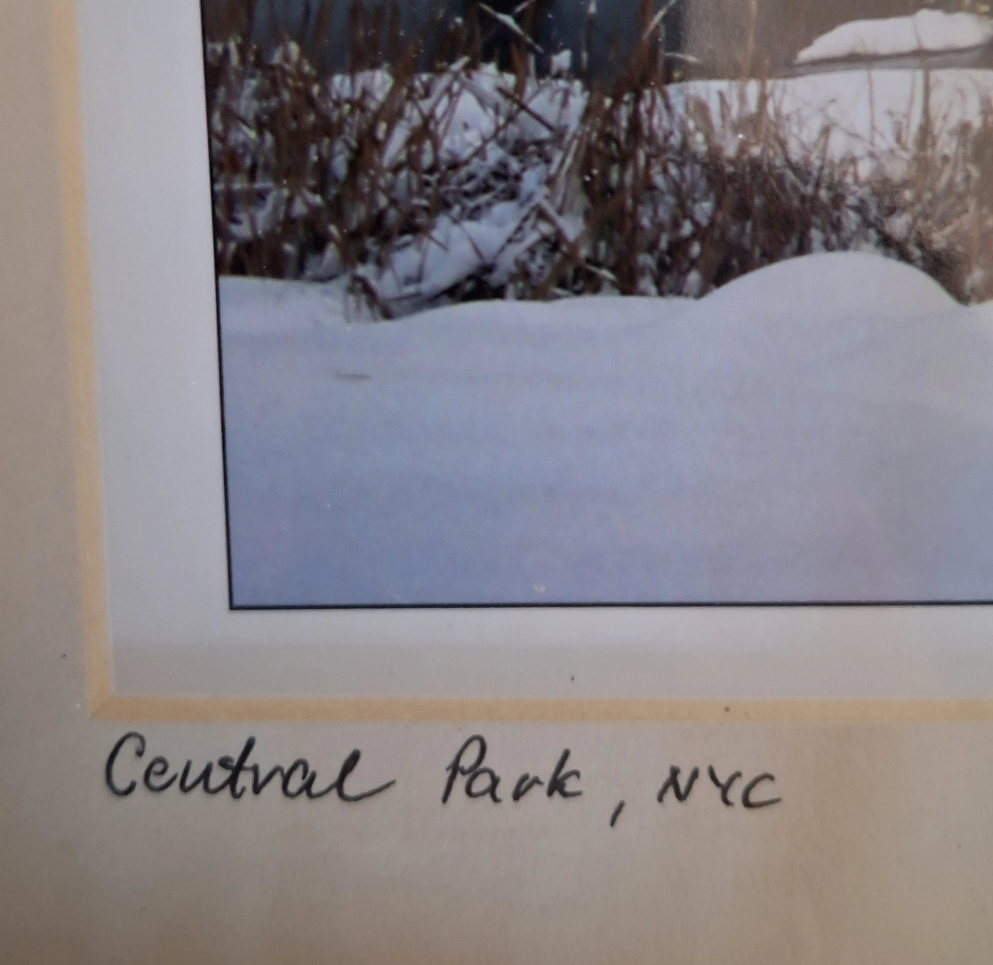 Central Park NYC Framed Photo - photo 2