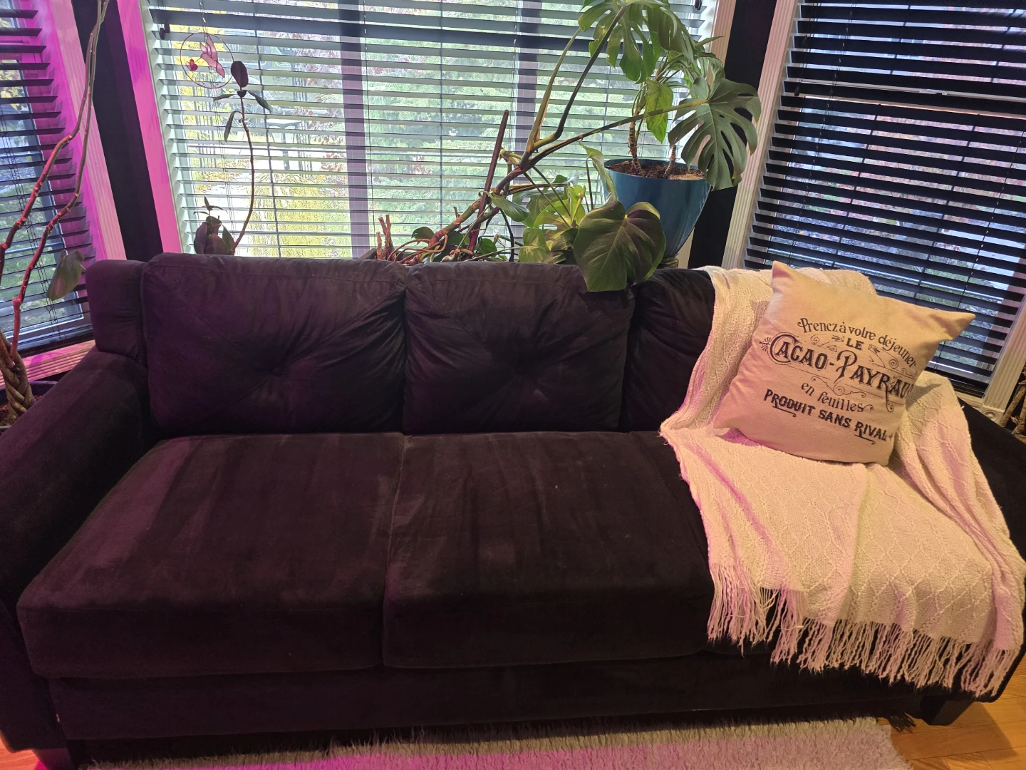 Zipcode Design Ibiza 80.3 inch Curved Arm Sofa