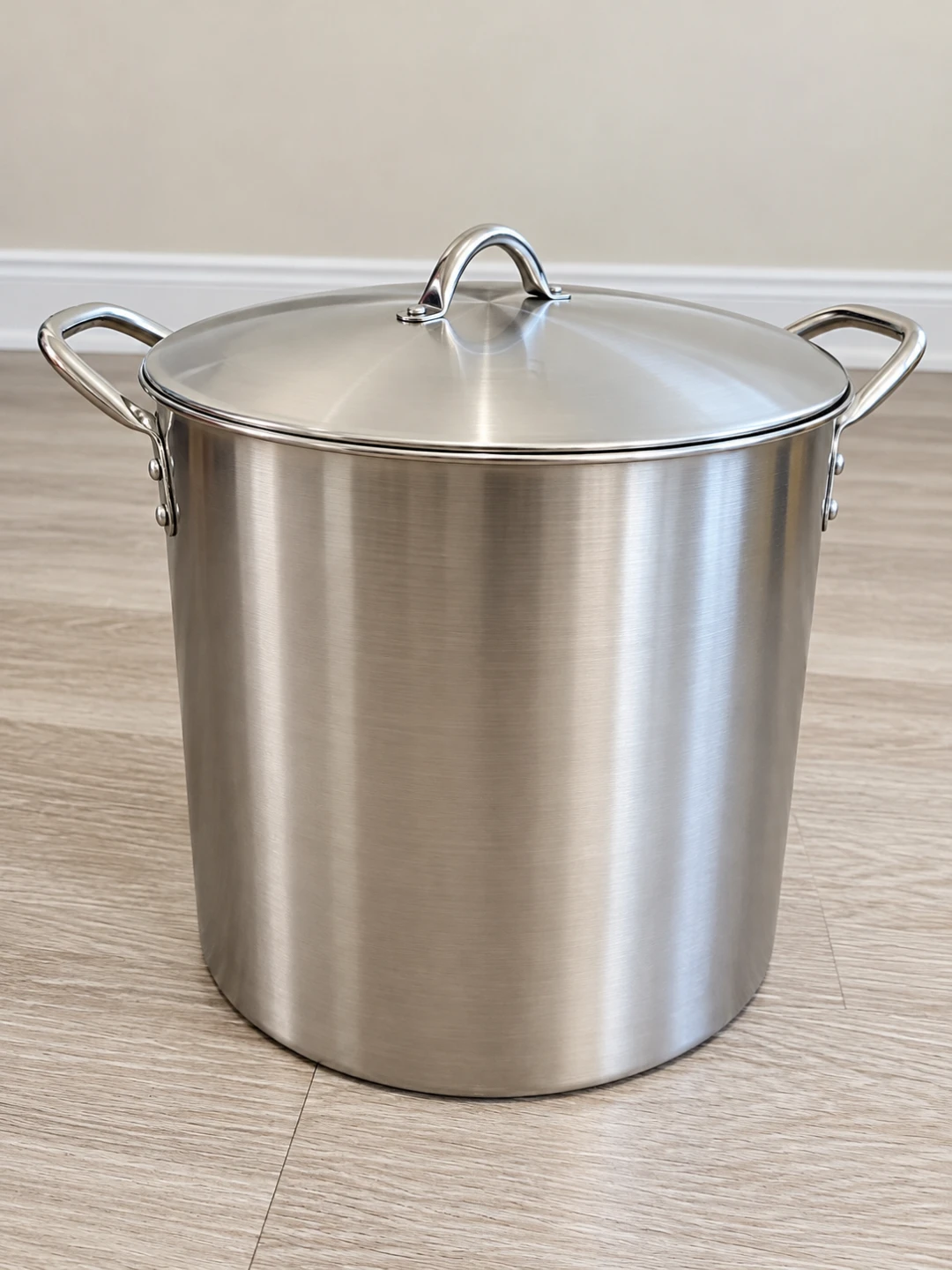 Stainless Steel Stock Pot with Lid