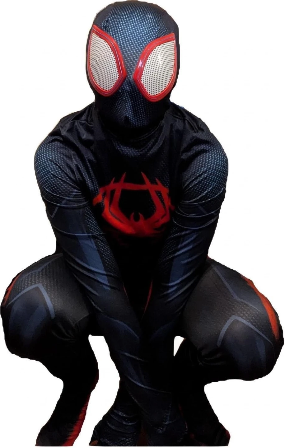 Miles Morales Spider-Man Costume