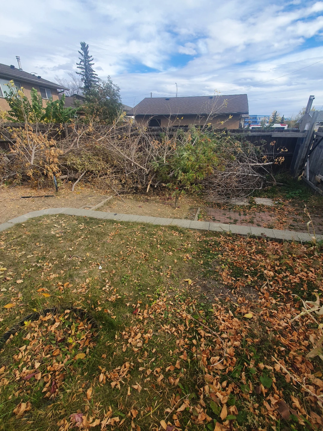 Firewood and Yard Waste - photo 2