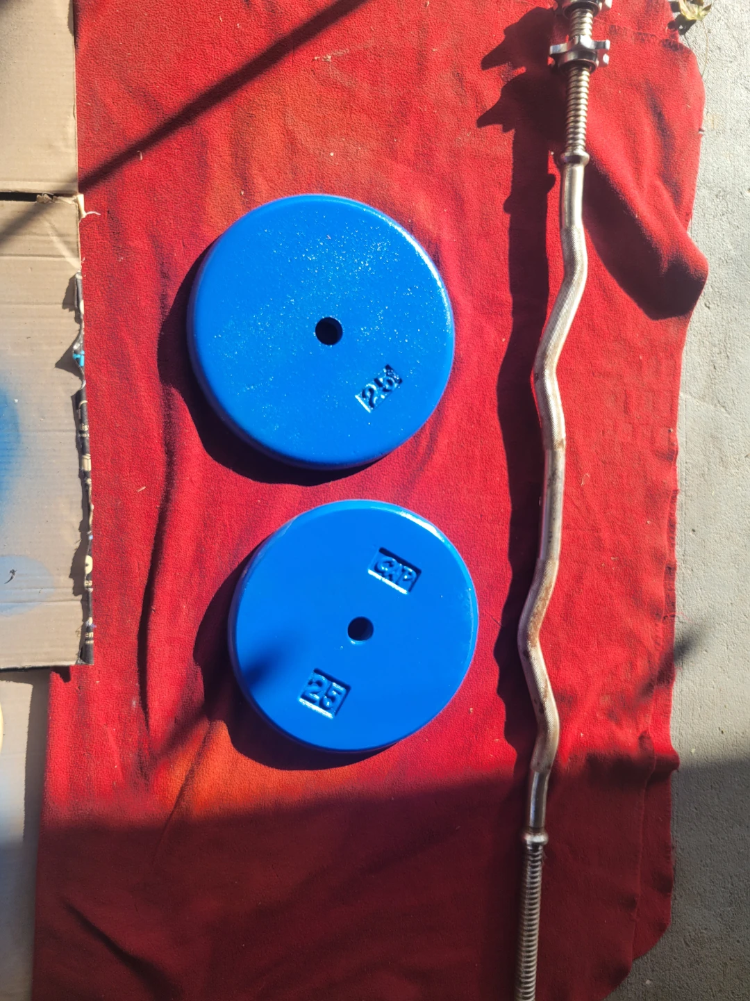 50LBs  1" HOLE.  EZ-CURL BAR 2-25s. - photo 2