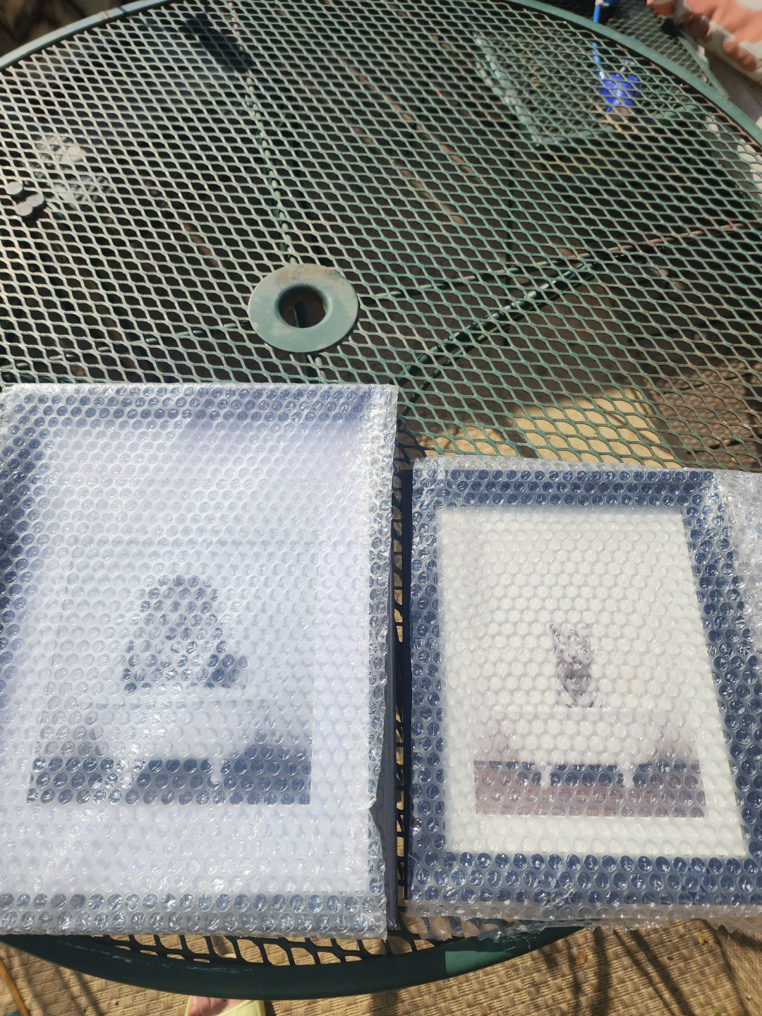 Set of Two Animal Bathtub Framed Prints