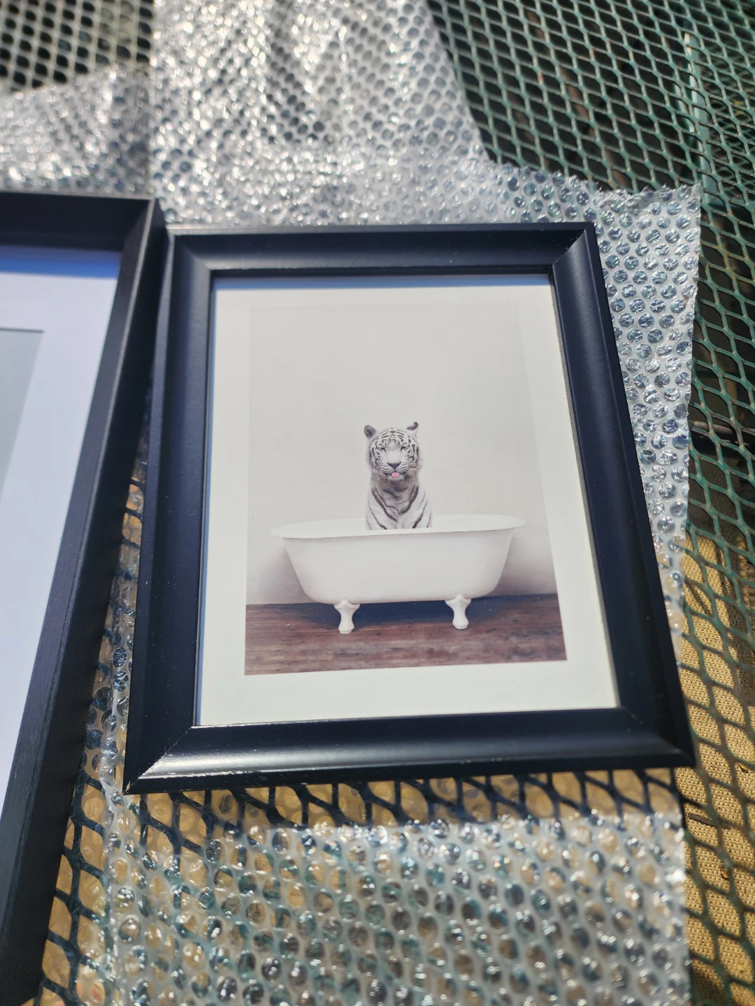 Set of Two Animal Bathtub Framed Prints - photo 3