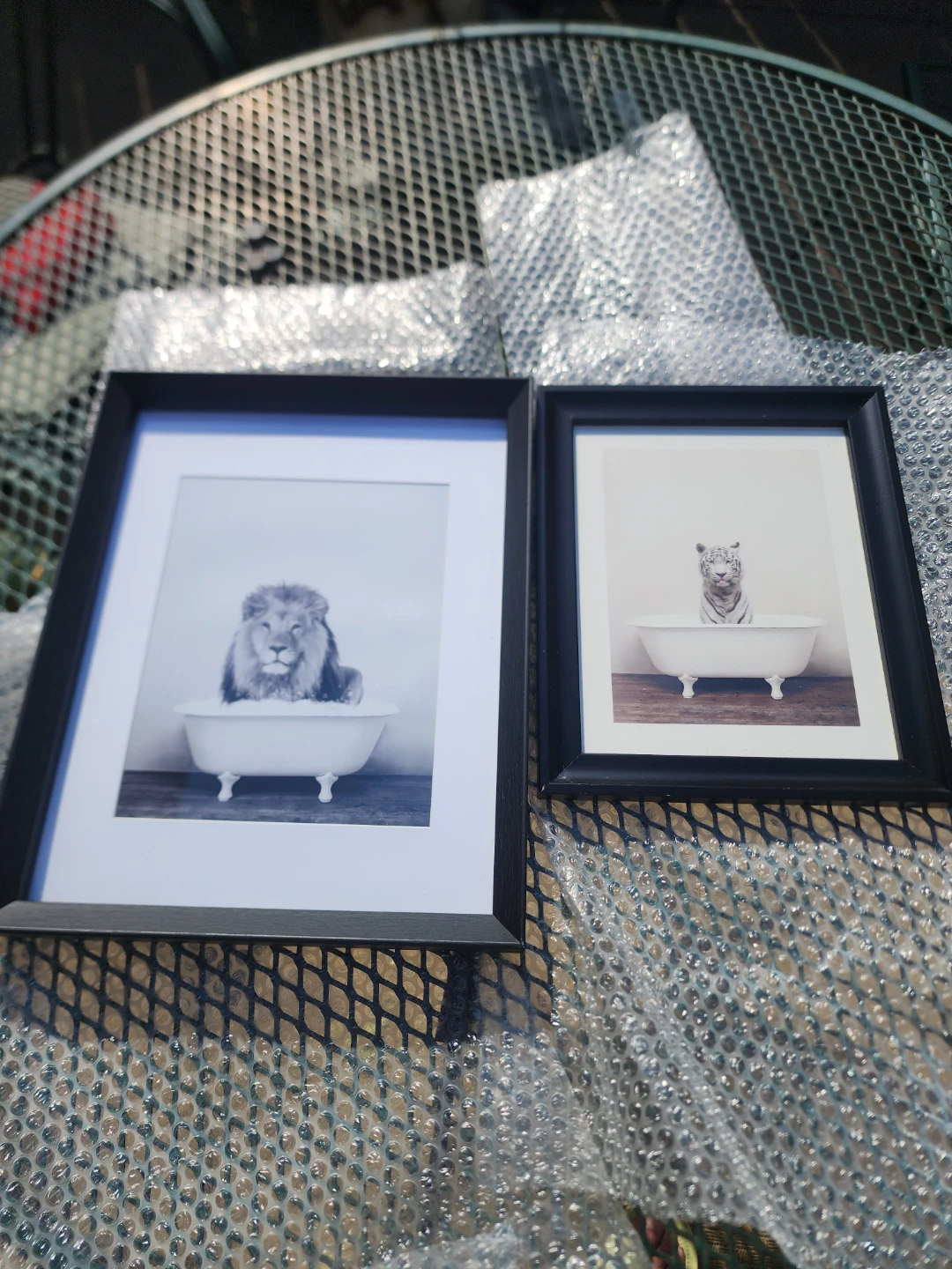 Set of Two Animal Bathtub Framed Prints - photo 4