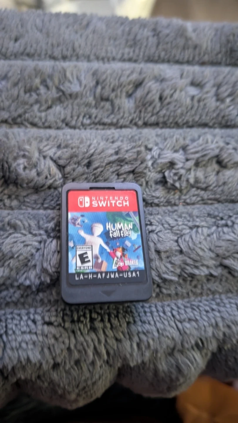 Human Fall Flat for Nintendo Switch - photo 3