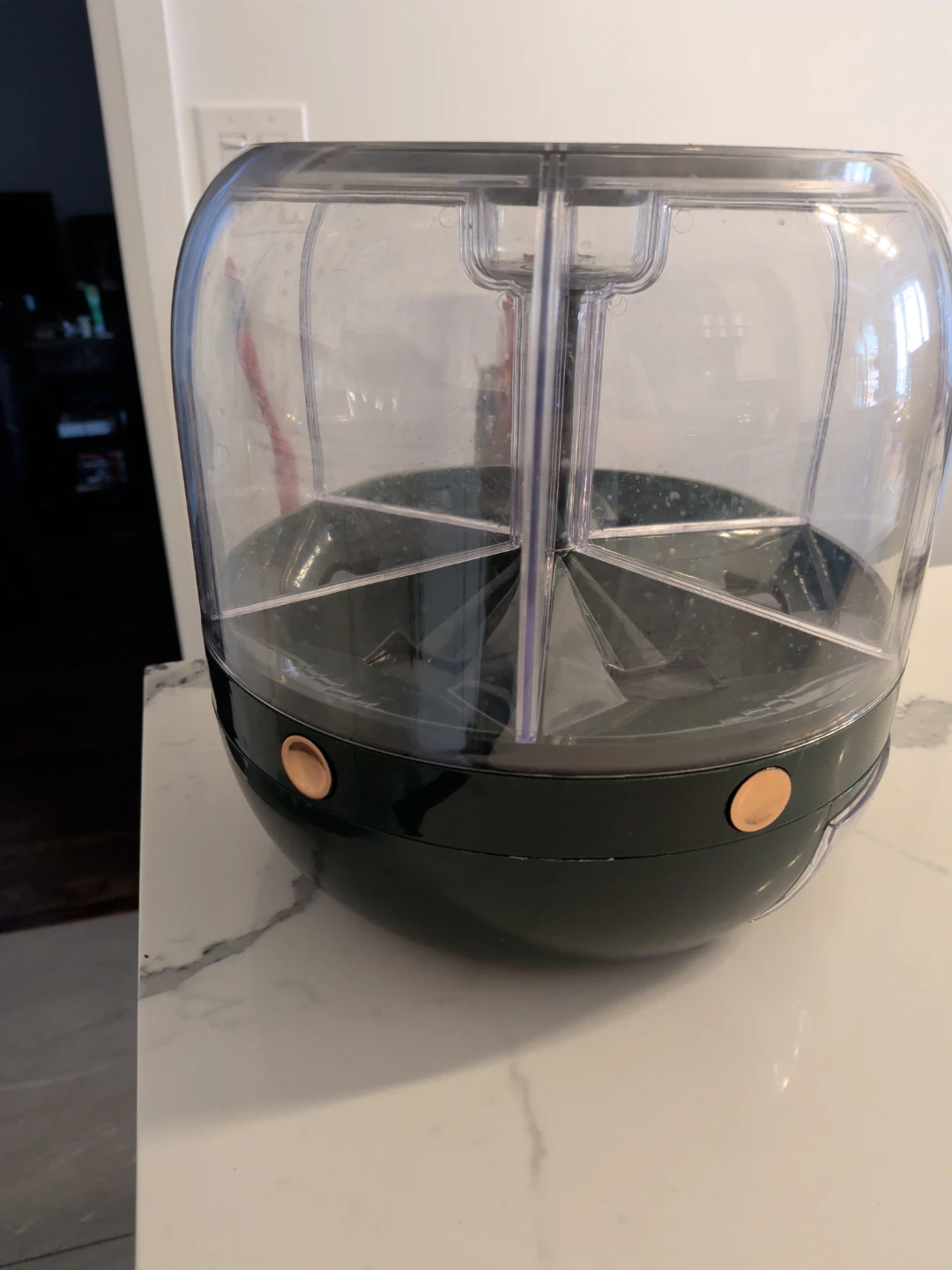 Rotating Dry Food Dispenser