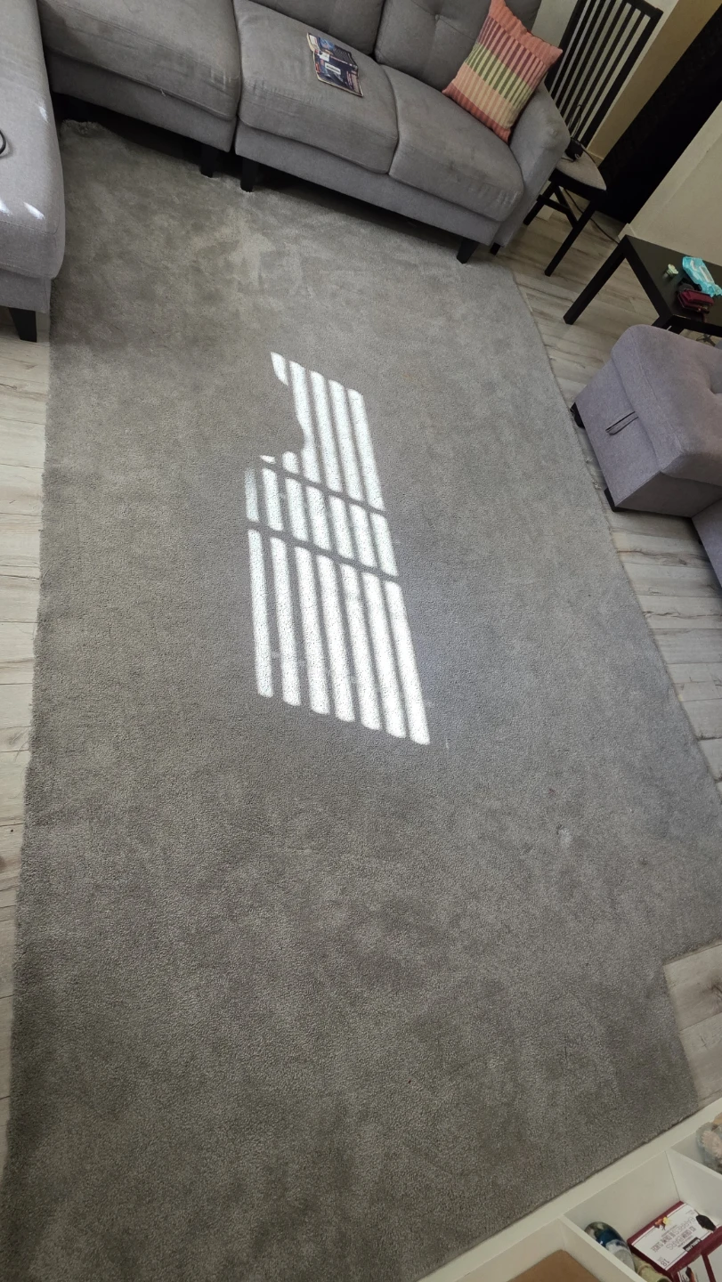 Large Grey Area Rug