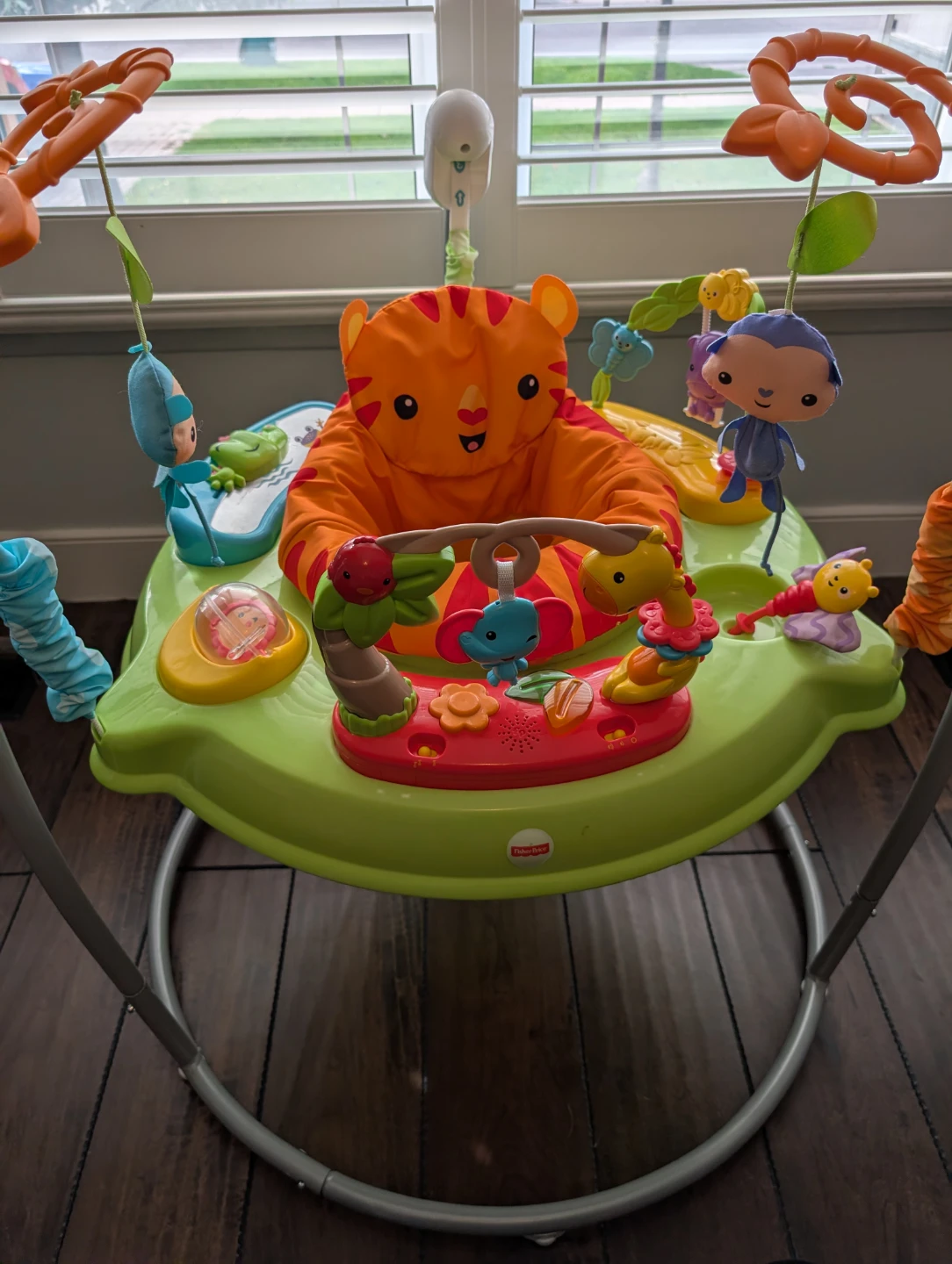 Fisher-Price Baby Jumper Activity Center