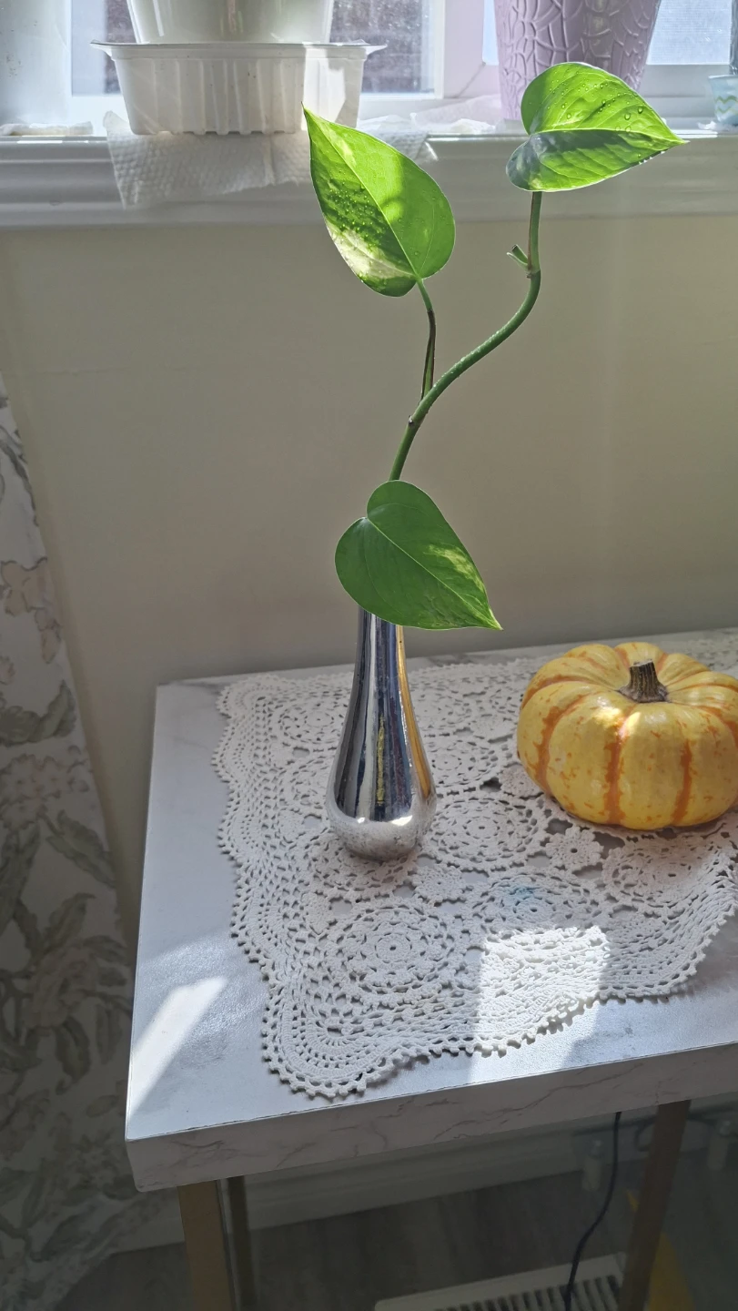 Small Silver Tone Bud Vase With Photo plant