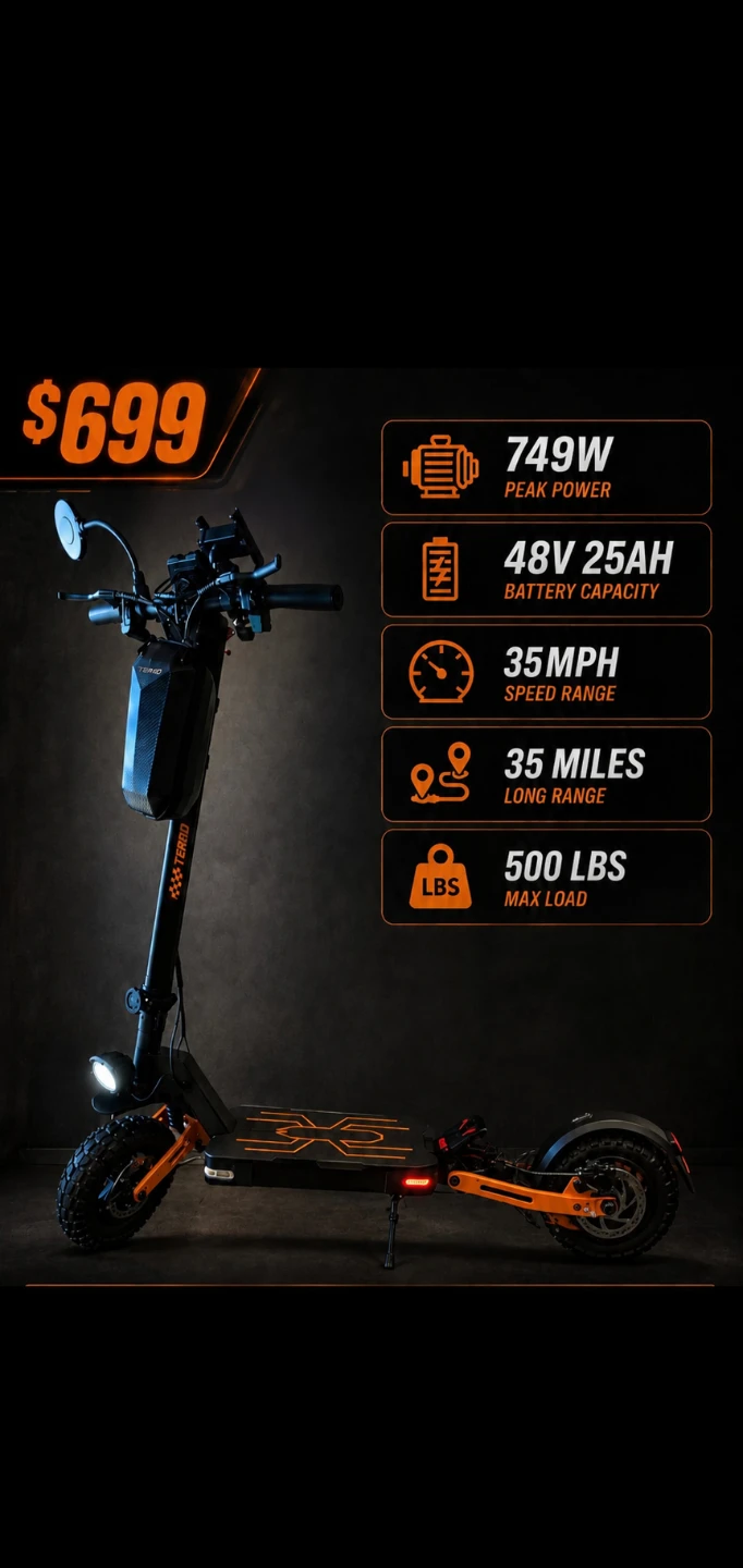 Tereid Electric Scooter 749W