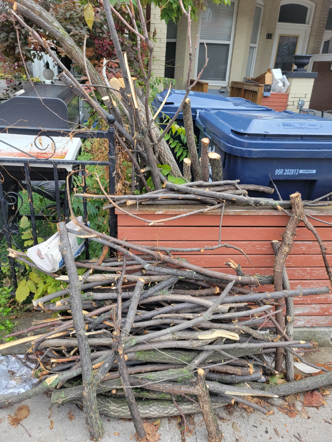 Free fire wood trimmed tree branches - photo 2