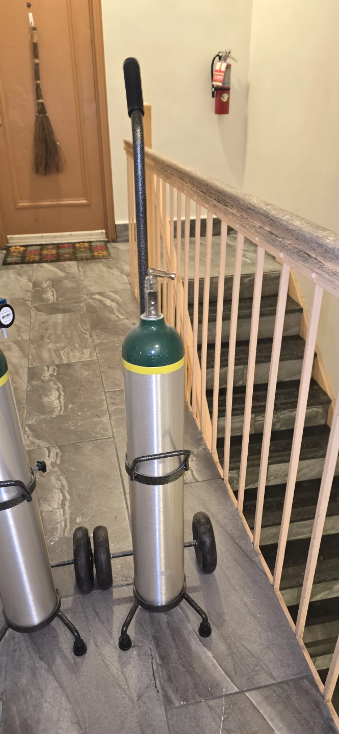 Two Portable Oxygen Tank Carts - photo 3