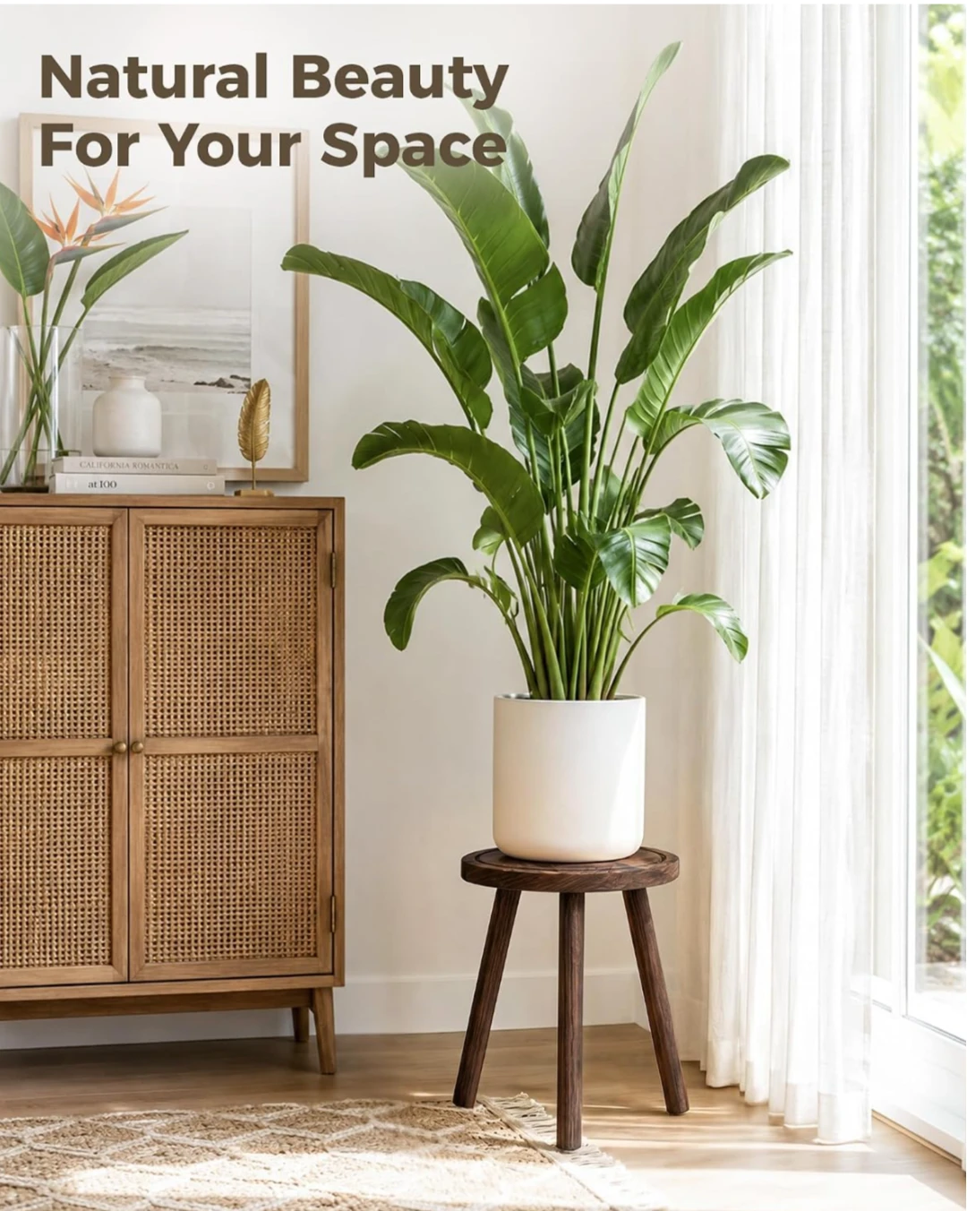 Bamworld Wooden Plant Stand Set - photo 5