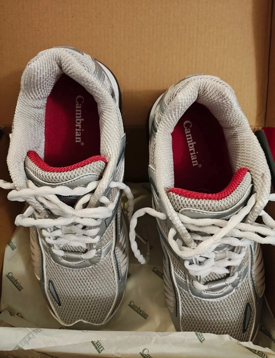 NEW🔸Cambrian Genesis Size 9B Women's Silver Raspberry Shoes