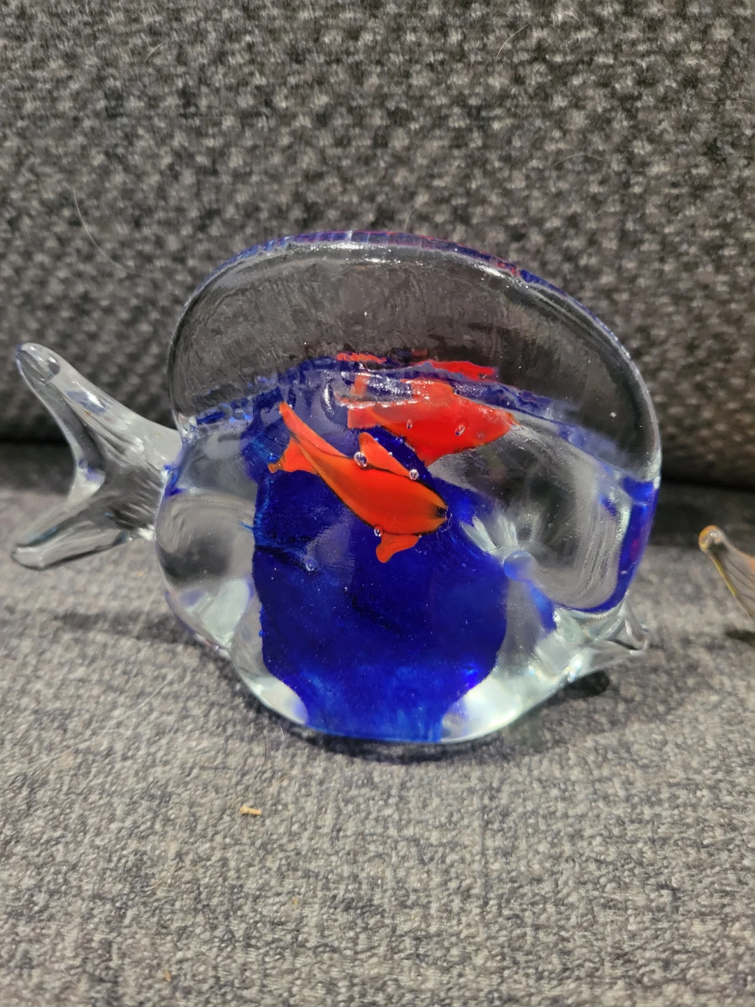 Glass Fish ($2 each) - photo 4