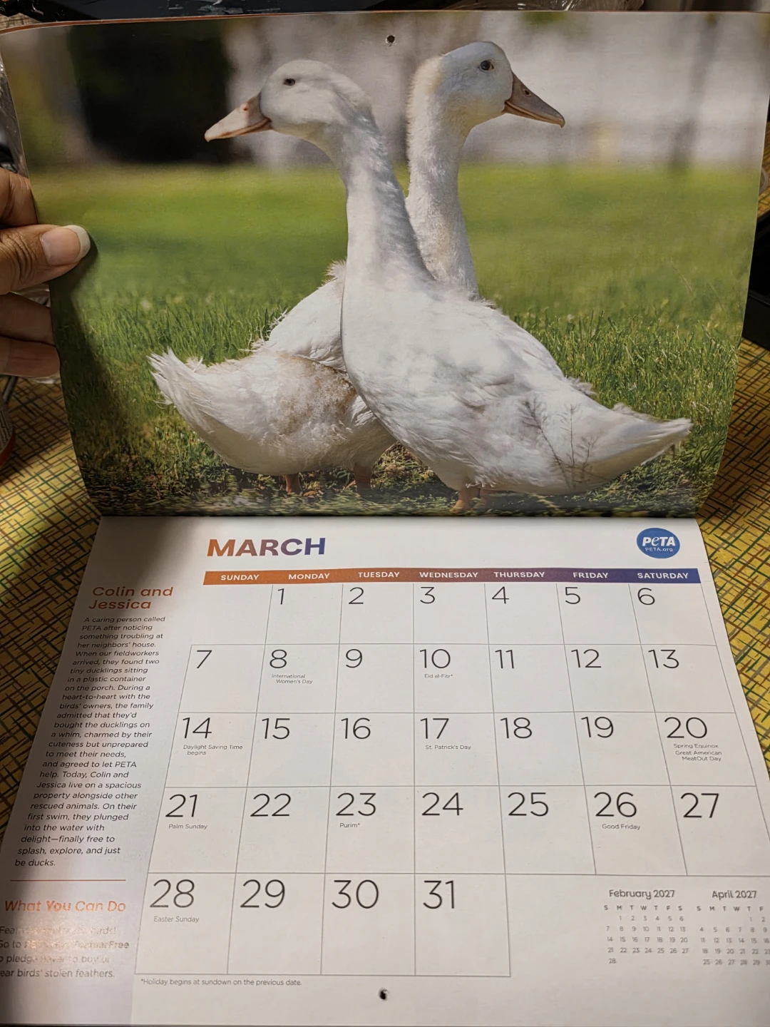 PETA 2027 Rescued! Calendar - photo 2