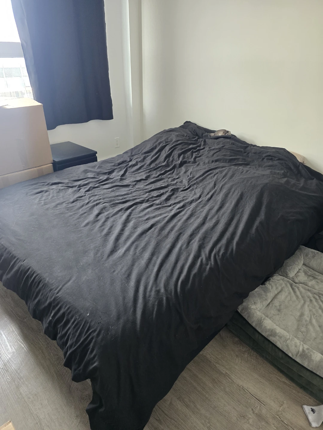 Queen size mattress - FREE NEED GONE!